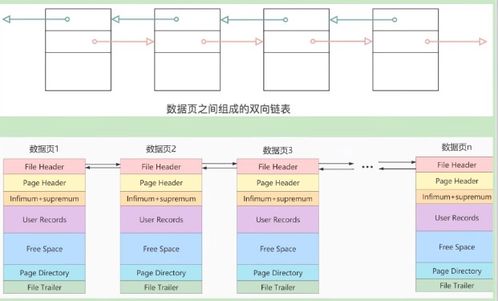 高级篇七 InnoDB数据存储结构