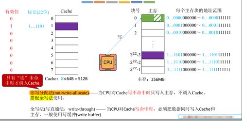 计算机组成原理之存储系统 Cache写策略