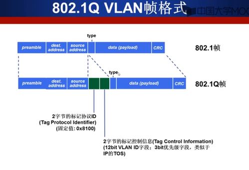 计算机网络数据链路层