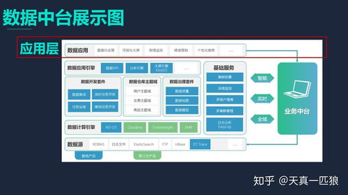 市面上常见的数据应用产品及公司