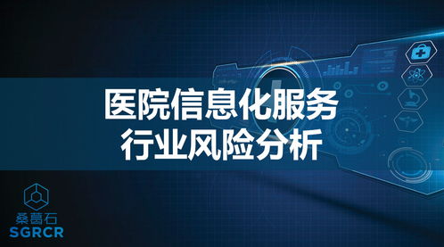 医院信息化服务行业风险分析