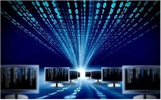 数据库系统由什么组成