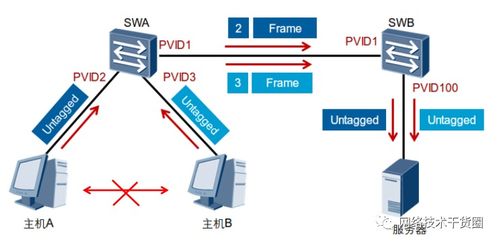 vlan通信基础细节详解