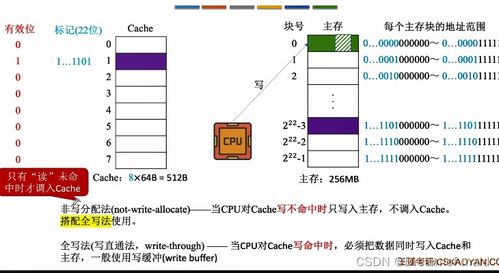 计算机组成原理 第三章存储系统 下