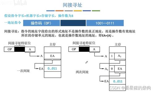 计算机组成原理 数据寻址 直接寻址 间接寻址 寄存器寻址 寄存器间接寻址 隐含寻址 立即寻址