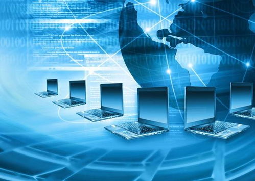 计算机网络的组成与功能及数据处理存储服务